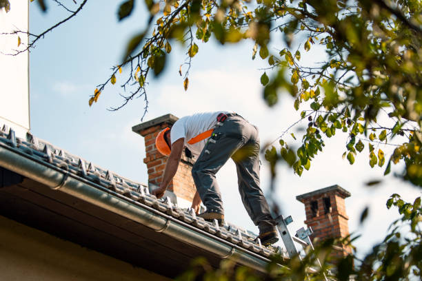 Best Chimney Flashing Repair  in Mineral Springs, NC